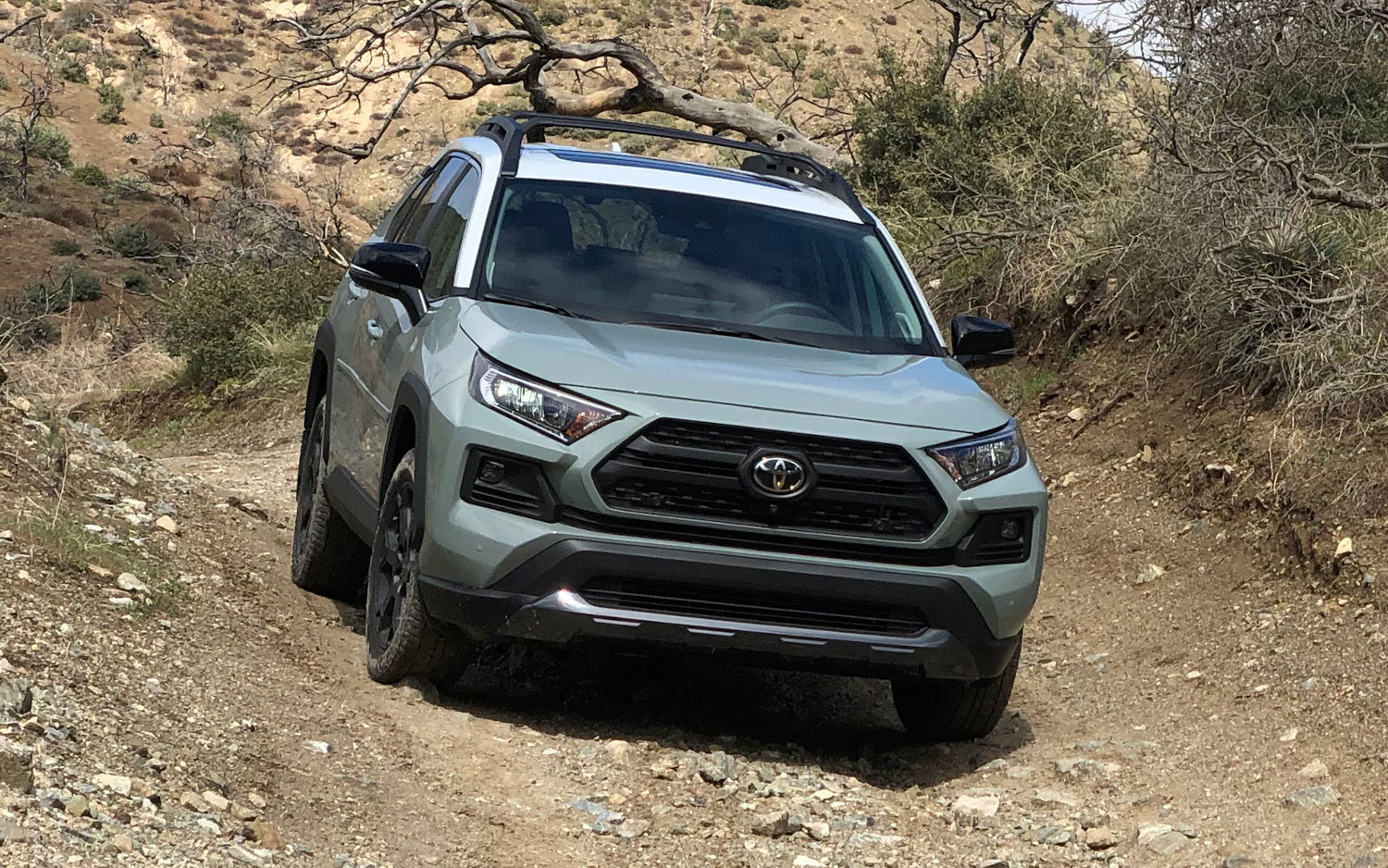 Comparison Toyota RAV4 TRD Off Road 2020 Vs Mazda CX 30 Turbo 
